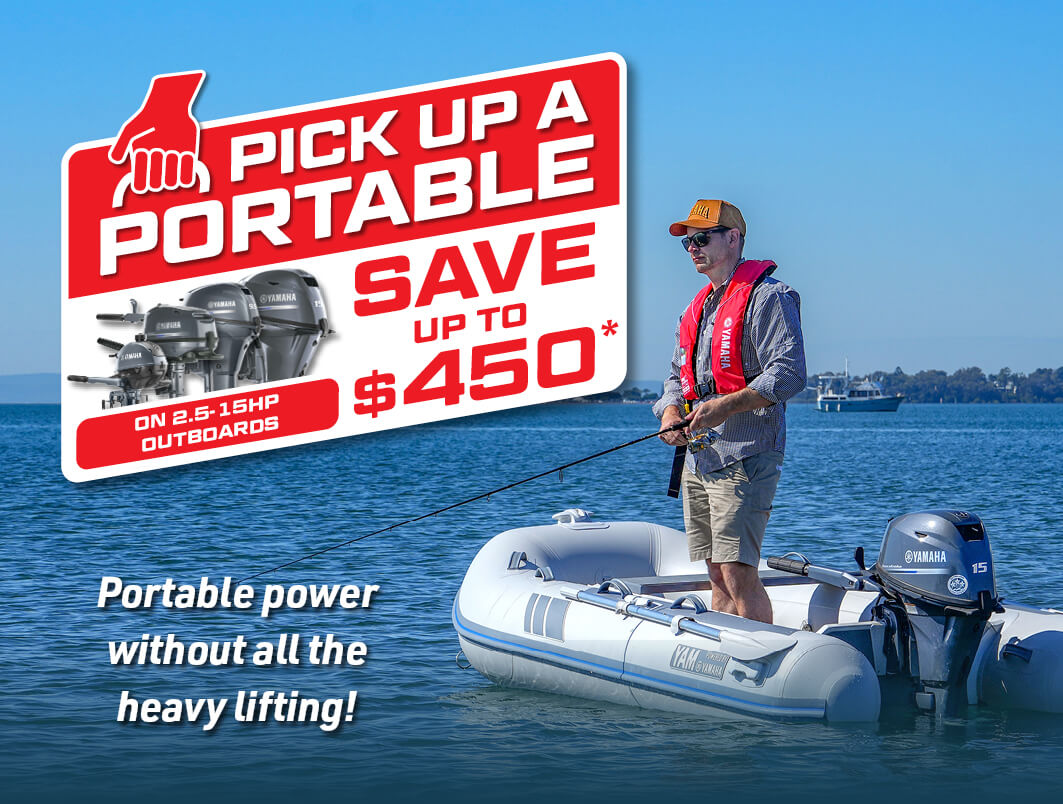 Pick up a Portable - DAM Thumbnail -  255 x 193px