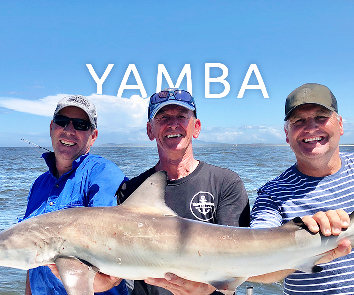 Yamba Fishing and Charter Adventures Yamaha Motor Australia