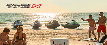 CTA Panel Endless Summer