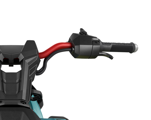 RiDE Dual Control System                                                                                                                                                                                                                                  