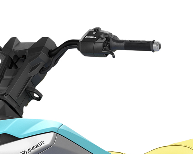 RiDE Dual Control System                                                                                                                                                                                                                                  