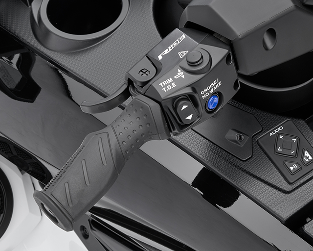 RiDE Dual Control System                                                                                                                                                                                                                                  