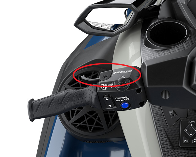 RiDE Dual Control System                                                                                                                                                                                                                                  