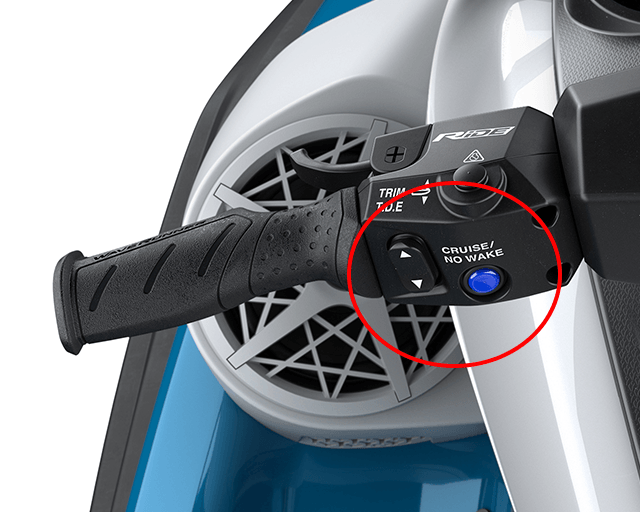 Cruise Assist and No Wake Mode                                                                                                                                                                                                                            