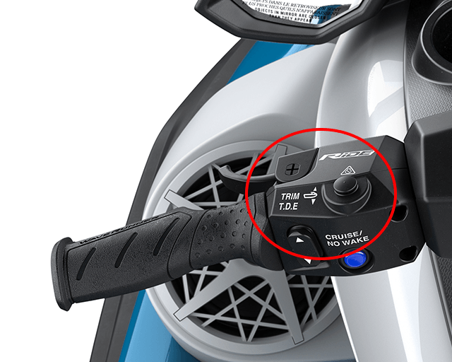Electronic Trim                                                                                                                                                                                                                                           