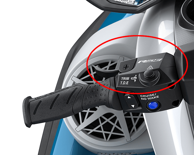 RiDE Dual Control System                                                                                                                                                                                                                                  