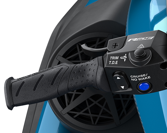 RiDE Dual Control System                                                                                                                                                                                                                                  