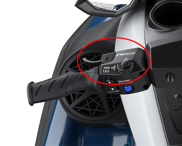 RiDE Dual Control System                                                                                                                                                                                                                                  