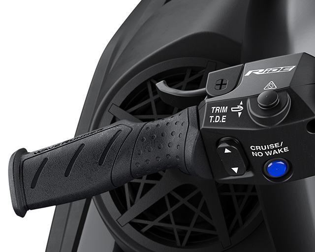 RiDE Dual Control System                                                                                                                                                                                                                                  