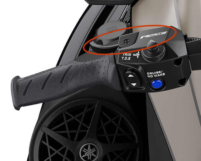 RiDE Dual Control System                                                                                                                                                                                                                                  