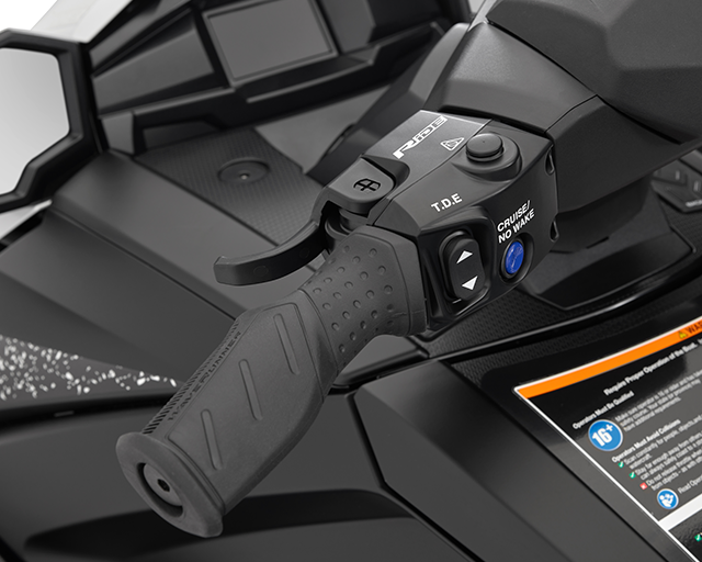 RiDE Dual Control System                                                                                                                                                                                                                                  