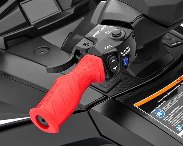 RiDE Dual Control System                                                                                                                                                                                                                                  