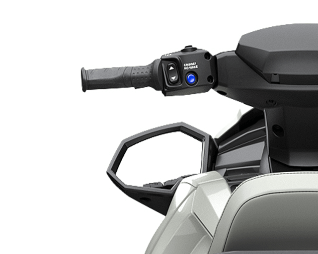 RiDE Dual Control System                                                                                                                                                                                                                                  