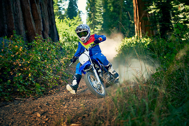 2020 ttr110