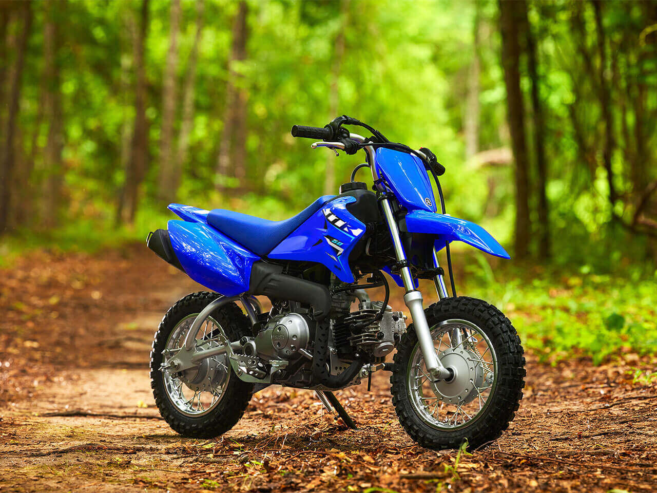 バイク TTR50 YAMAHA TTR50 BIKE INTRODUCTION - Motocross Action Magazine