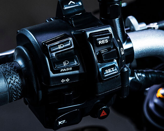 Cruise Control & Variable Speed Limiter                                                                                                                                                                                                                   