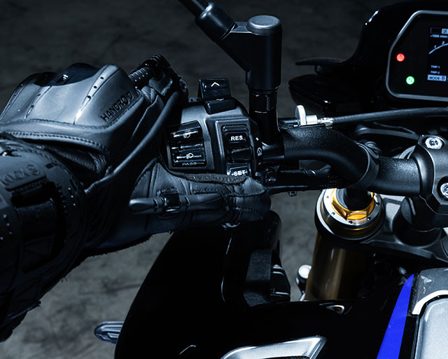 Cruise Control & Variable Speed Limiter                                                                                                                                                                                                                   