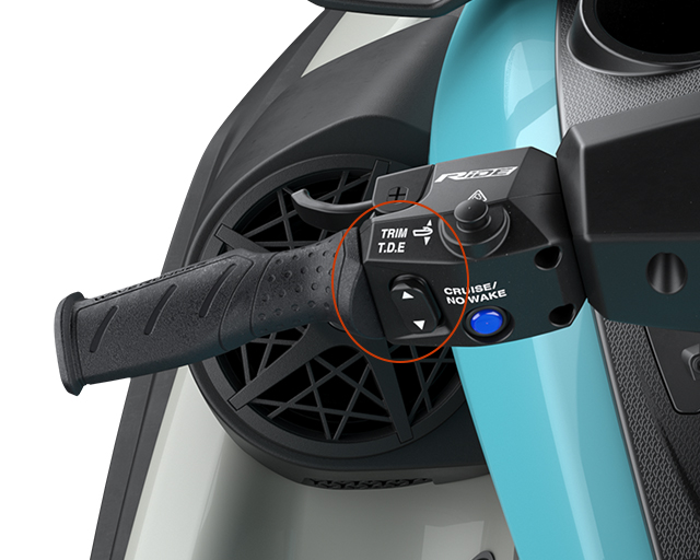 Electronic Trim                                                                                                                                                                                                                                           